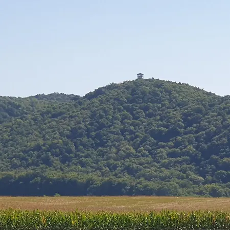 Apartmán Goforest - 150y Old Vintage Balaton - Max 6 Person Varvolgy