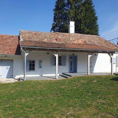Goforest - 150y Old Vintage Balaton - Max 6 Person Varvolgy