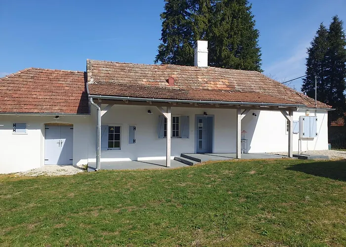 Goforest - 150y Old Vintage Balaton - Max 6 Person Varvolgy